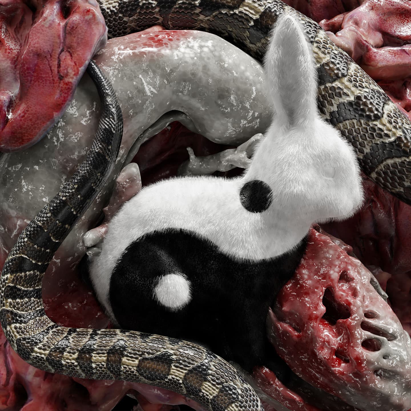 CGI image of a ying-yang themed rabbit surrounded by snake tails