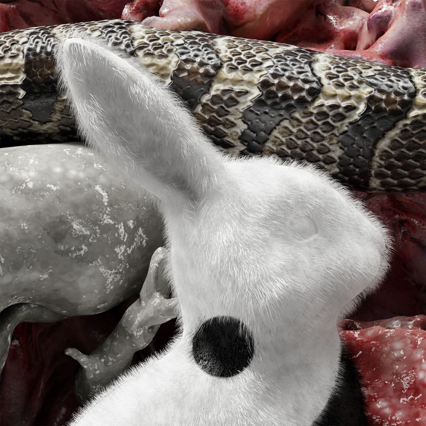 CGI close-up image of a snake tail next to a ying-yang themed rabbit head